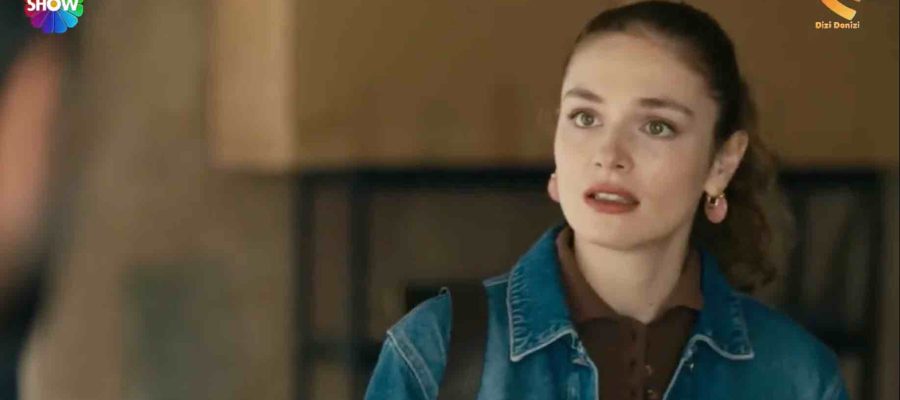 Наследник 4 серия турецкий сериал